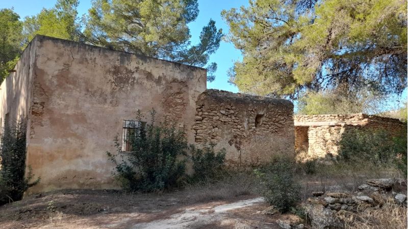Rustic plot of land with a ruin located in Santa Gertrudis - Ibiza